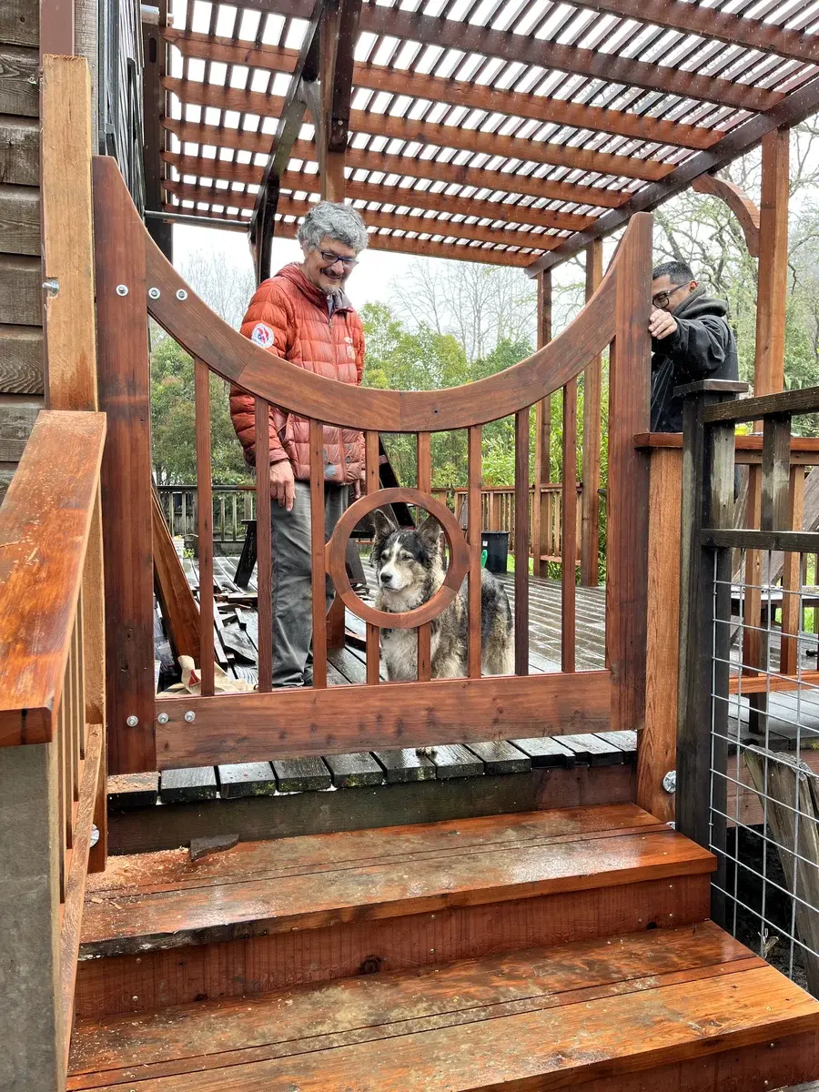 Gate with Dog